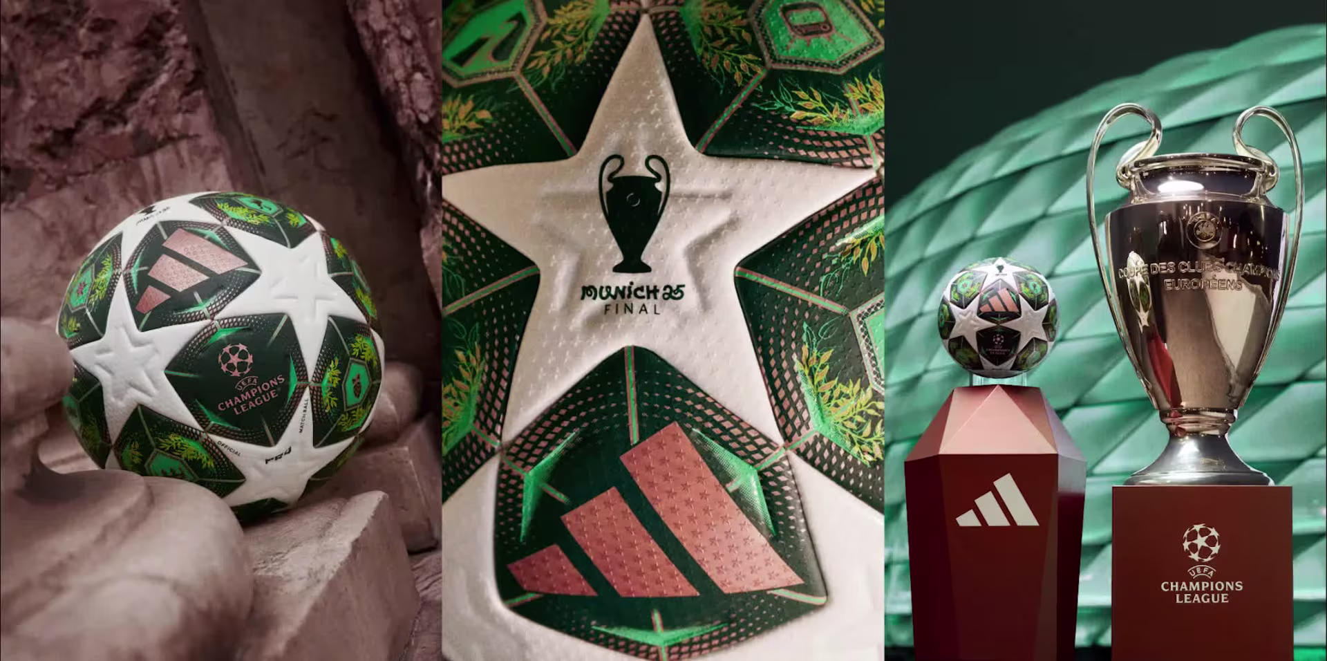 Bóng Vòng Loại UCL Pro 24/25 - Ảnh 3